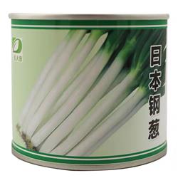 日本钢葱--日本品种